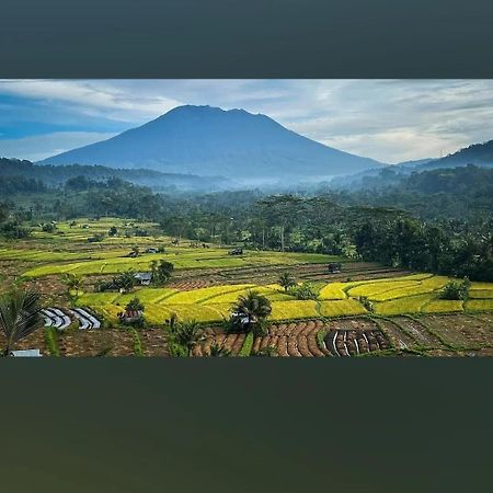 سيديمين Lumbung Ayu Sari And Spa المظهر الخارجي الصورة