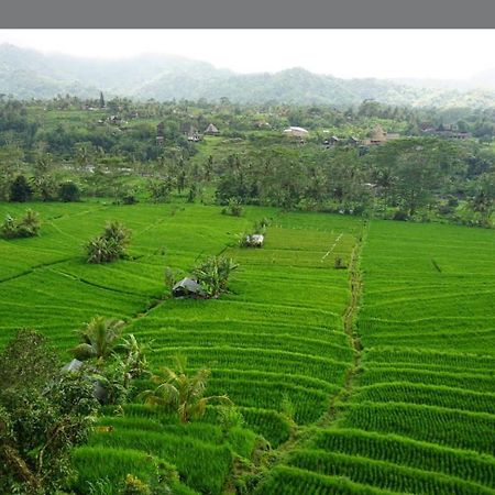 سيديمين Lumbung Ayu Sari And Spa المظهر الخارجي الصورة