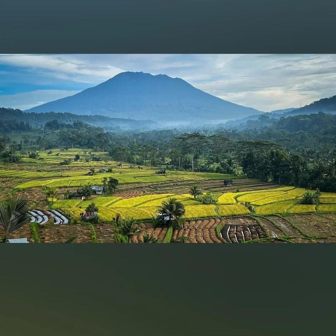 سيديمين Lumbung Ayu Sari And Spa المظهر الخارجي الصورة