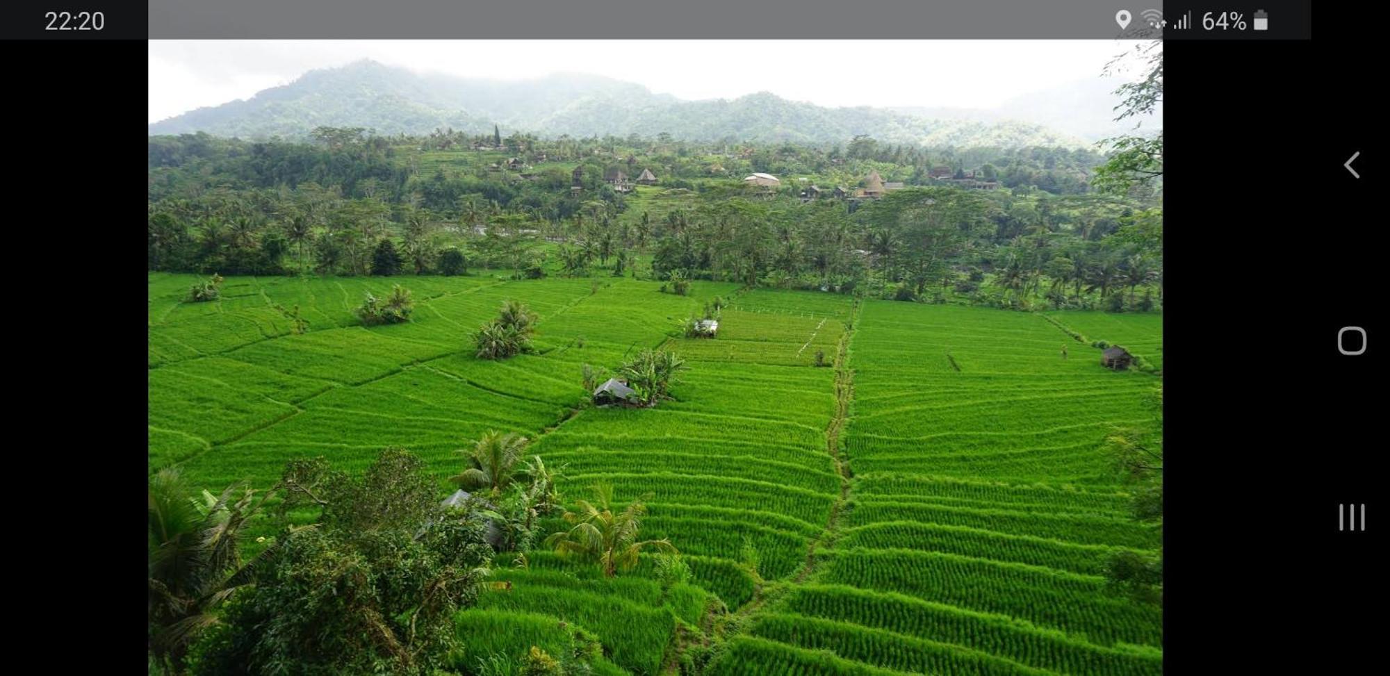 سيديمين Lumbung Ayu Sari And Spa المظهر الخارجي الصورة