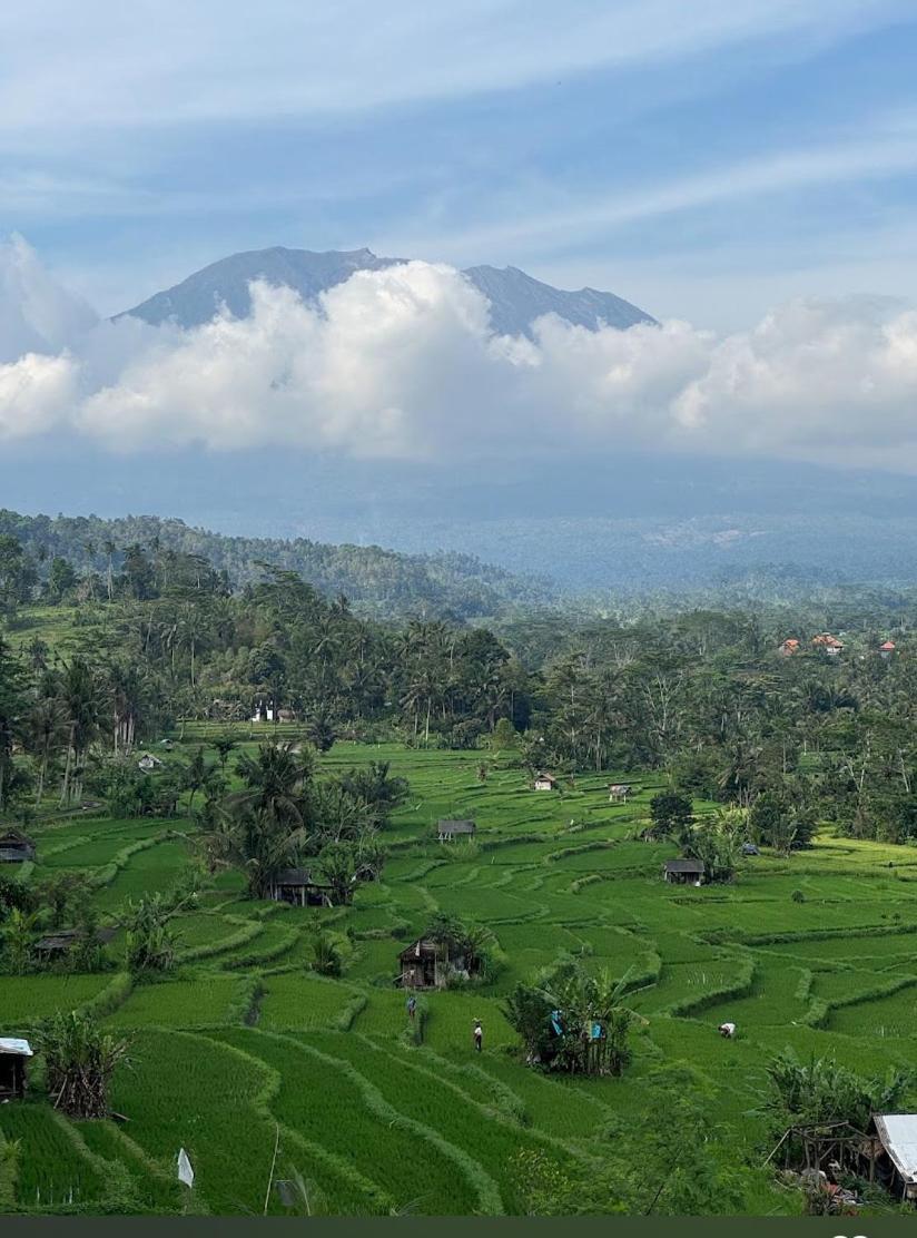 سيديمين Lumbung Ayu Sari And Spa المظهر الخارجي الصورة