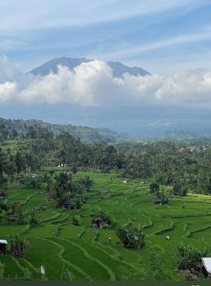 سيديمين Lumbung Ayu Sari And Spa المظهر الخارجي الصورة