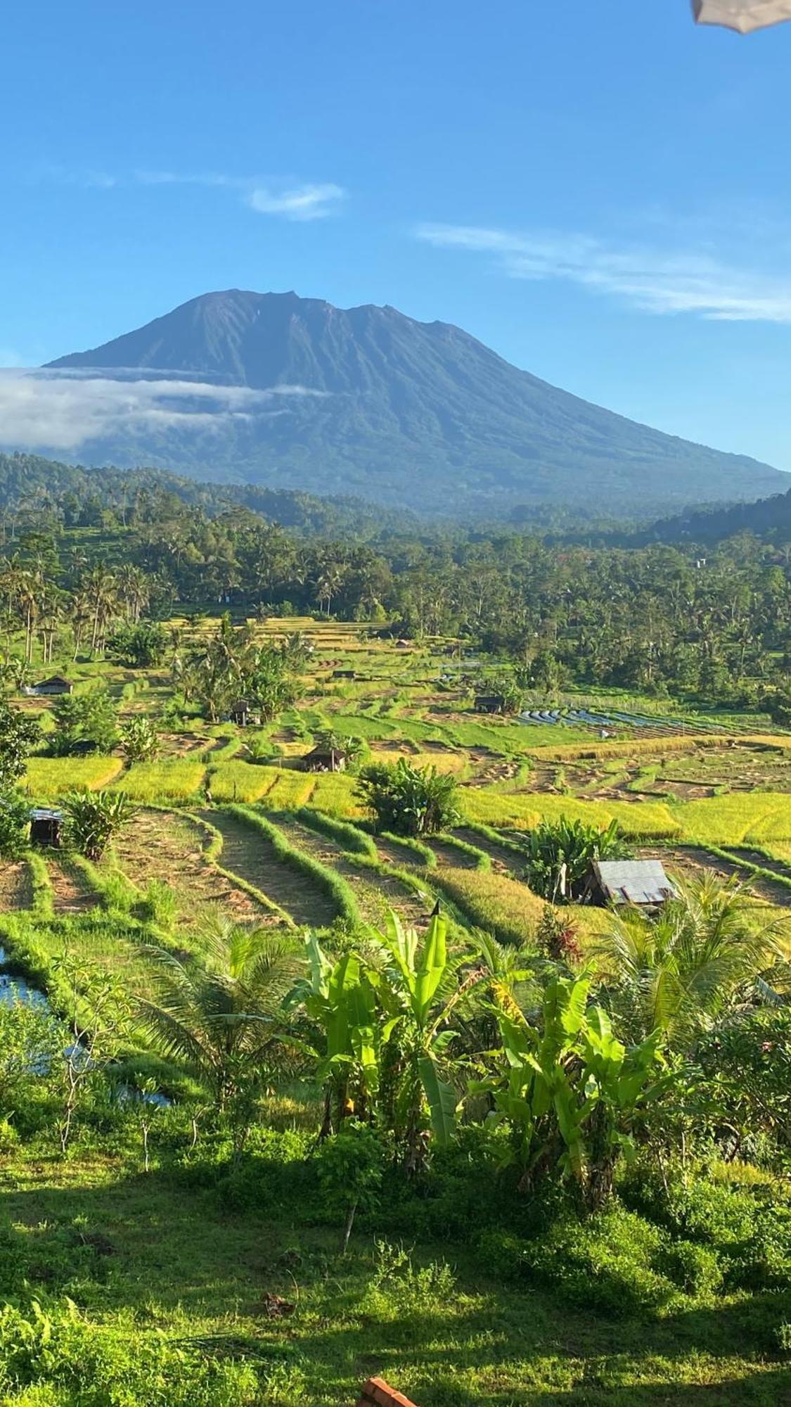 سيديمين Lumbung Ayu Sari And Spa المظهر الخارجي الصورة